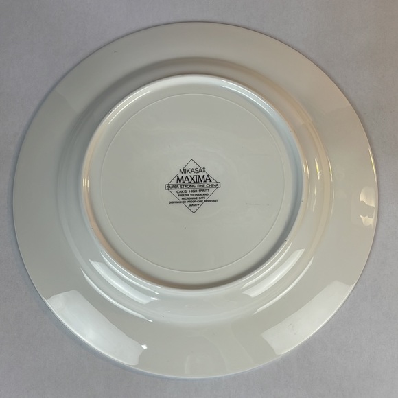Mikasa Maxima CAK 12 High Spirits Serving Platter - Picture 7 of 9